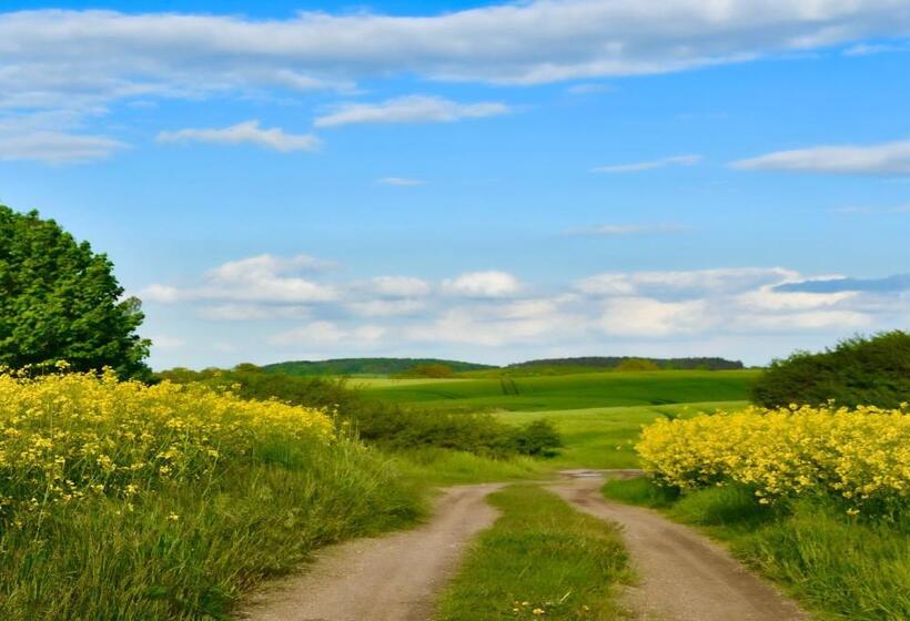 Elegantes & Modernes Apartment Neli Mit Terrasse, 100m Zum Hafen Röbel Müritz