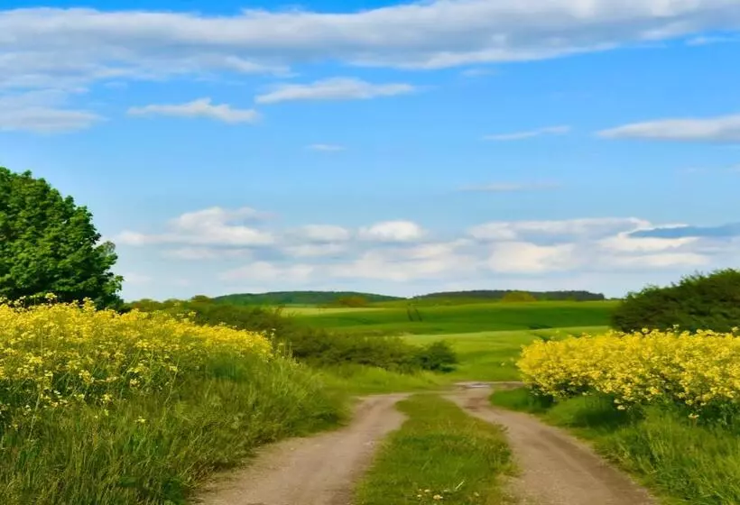 Elegantes & Modernes Apartment Neli Mit Terrasse, 100m Zum Hafen Röbel Müritz