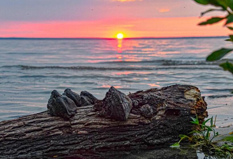 Elegantes & Modernes Apartment Neli Mit Terrasse, 100m Zum Hafen Röbel Müritz