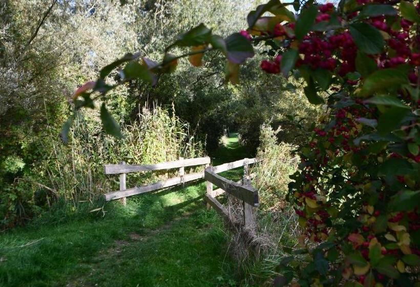 Elegantes & Modernes Apartment Neli Mit Terrasse, 100m Zum Hafen Röbel Müritz