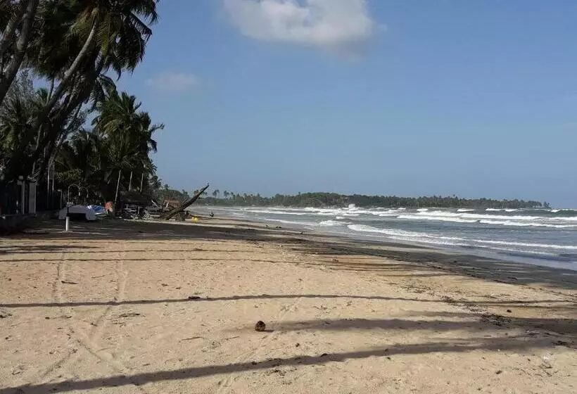 Hotelli Dive Beach Palace