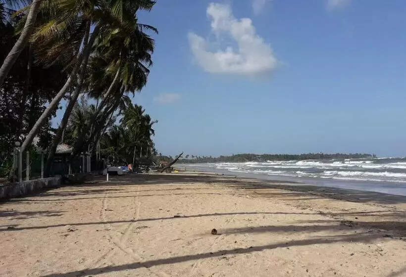 Hotelli Dive Beach Palace