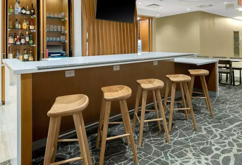 هتل Springhill Suites By Marriott Charlotte Airport Lake Pointe