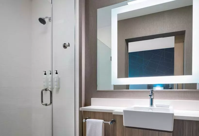 هتل Springhill Suites By Marriott Charlotte Airport Lake Pointe
