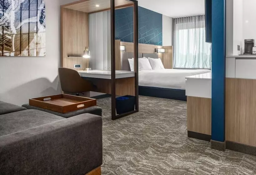 هتل Springhill Suites By Marriott Charlotte Airport Lake Pointe