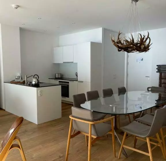Residenz Schooren Des Alpes   Apartment Jimmy Z Ii   Top 5
