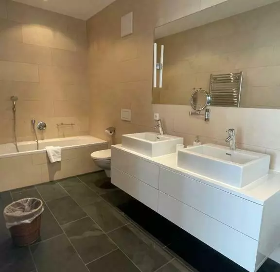 Residenz Schooren Des Alpes   Apartment Jimmy Z Ii   Top 5