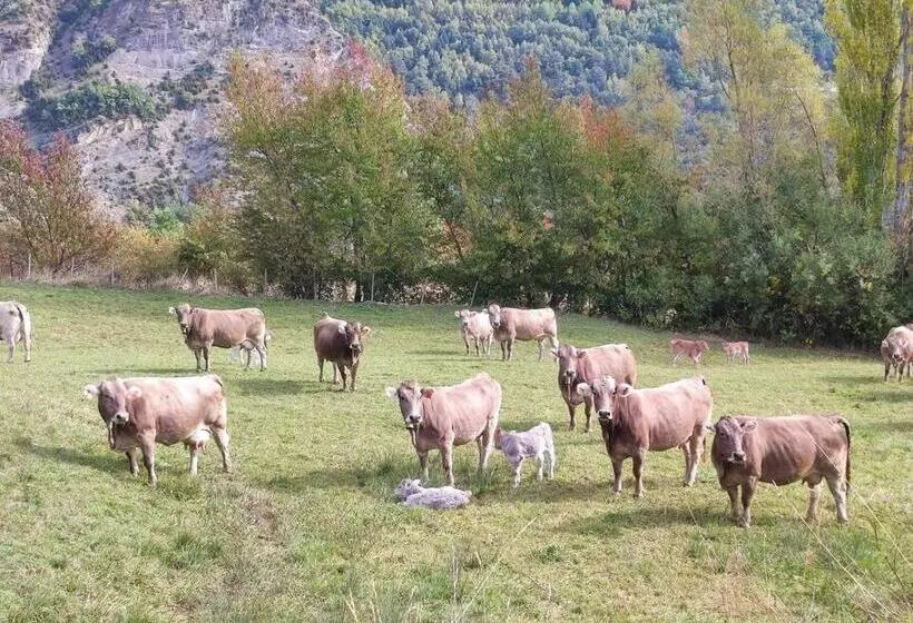 Vista Telera   Tucasaenlospirineos