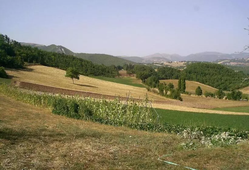 ホテル Agriturismo Casale Sant Antonio