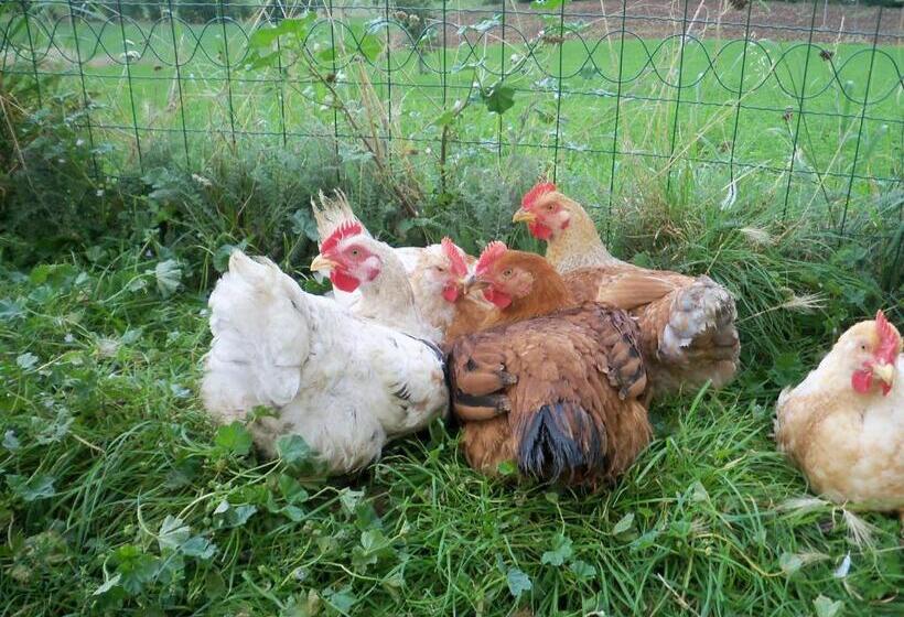 هتل Agriturismo Casale Sant Antonio