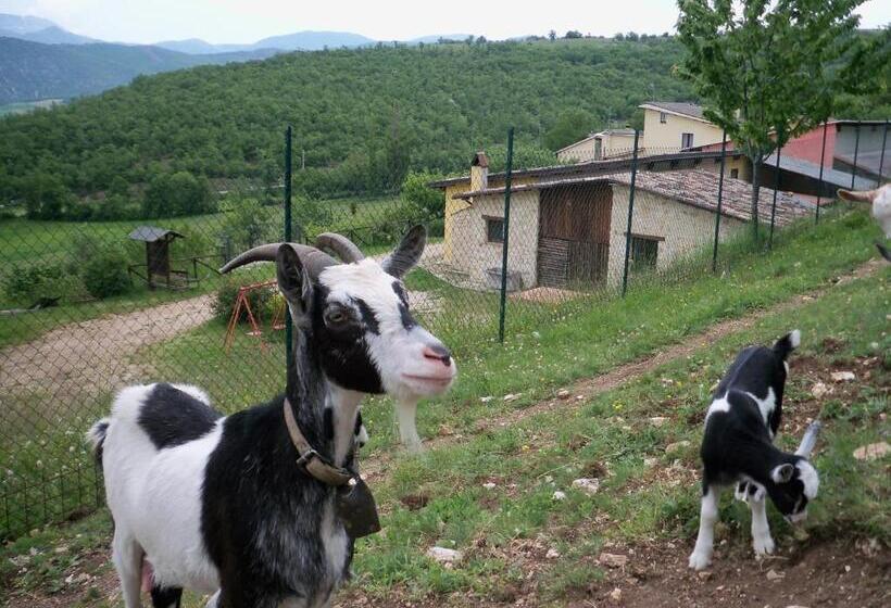 هتل Agriturismo Casale Sant Antonio