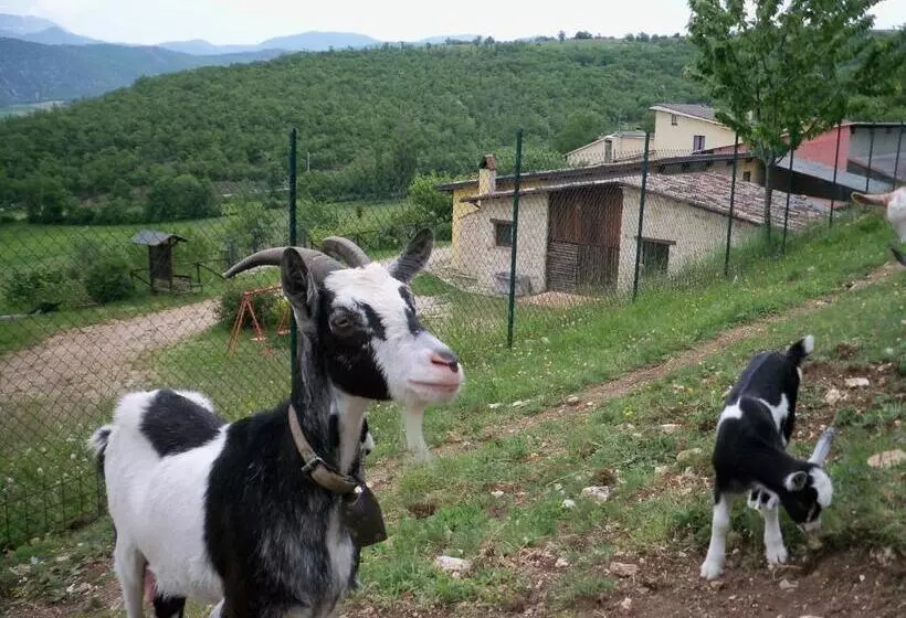 ホテル Agriturismo Casale Sant Antonio