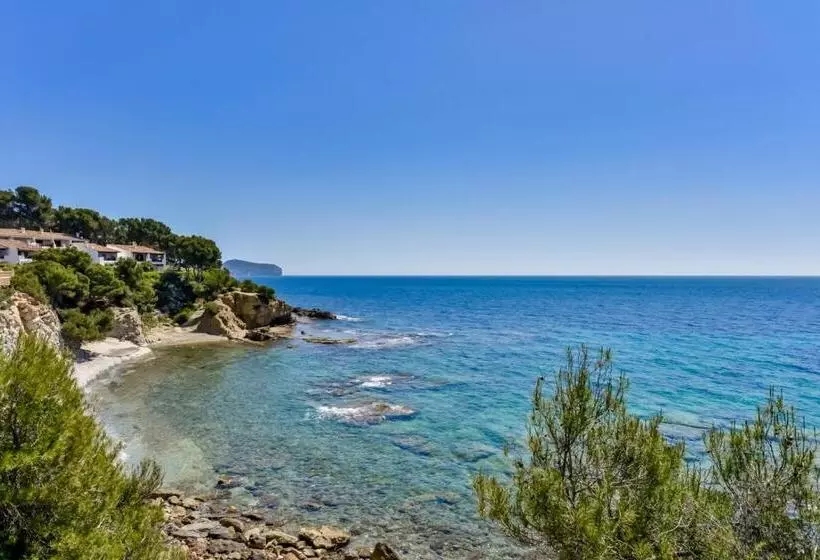 Mirador   Managed By Almarina