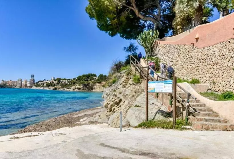 Mirador   Managed By Almarina