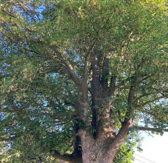 Cour 44 Gite De Charme Avec Sauna Et Jacuzzi