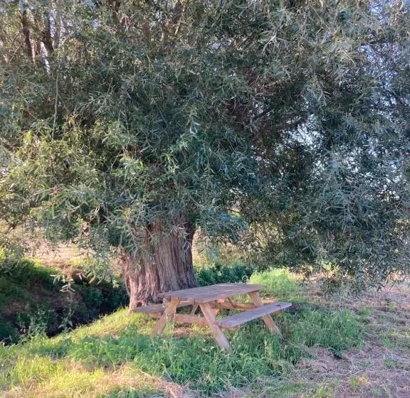 Cour 44   Gite De Charme Avec Sauna Et Jacuzzi