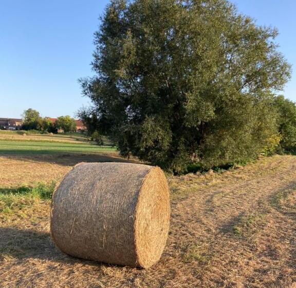 Cour 44 Gite De Charme Avec Sauna Et Jacuzzi