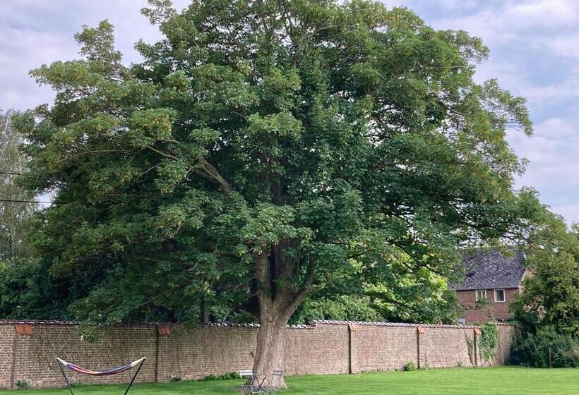 Cour 44 Gite De Charme Avec Sauna Et Jacuzzi