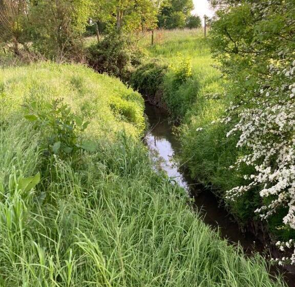 Cour 44 Gite De Charme Avec Sauna Et Jacuzzi