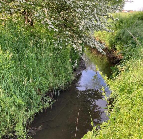 Cour 44 Gite De Charme Avec Sauna Et Jacuzzi