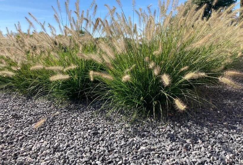 Cour 44 Gite De Charme Avec Sauna Et Jacuzzi