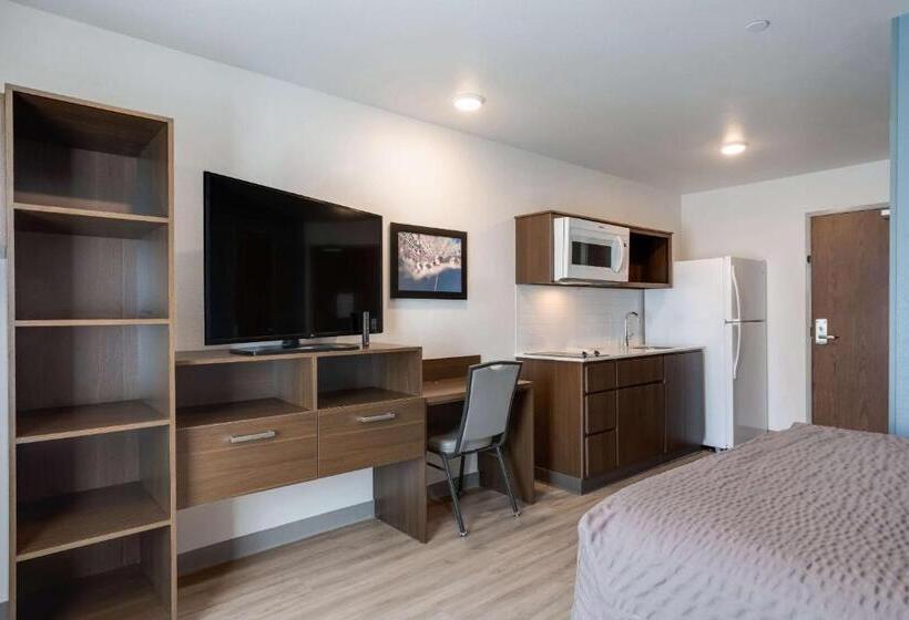 酒店 Woodspring Suites Smyrnala Vergne