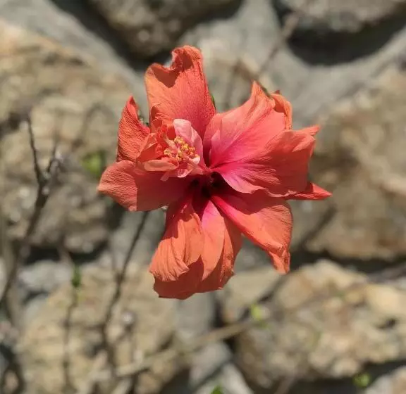 Lovely 6 Bed Cottage In Barcelos   Vila Cova