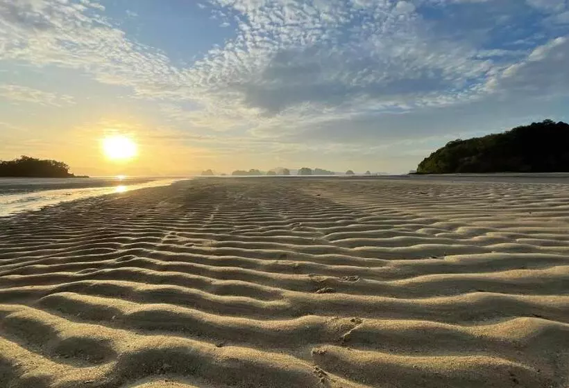 ペンション Koh Yao Seaview Bungalow