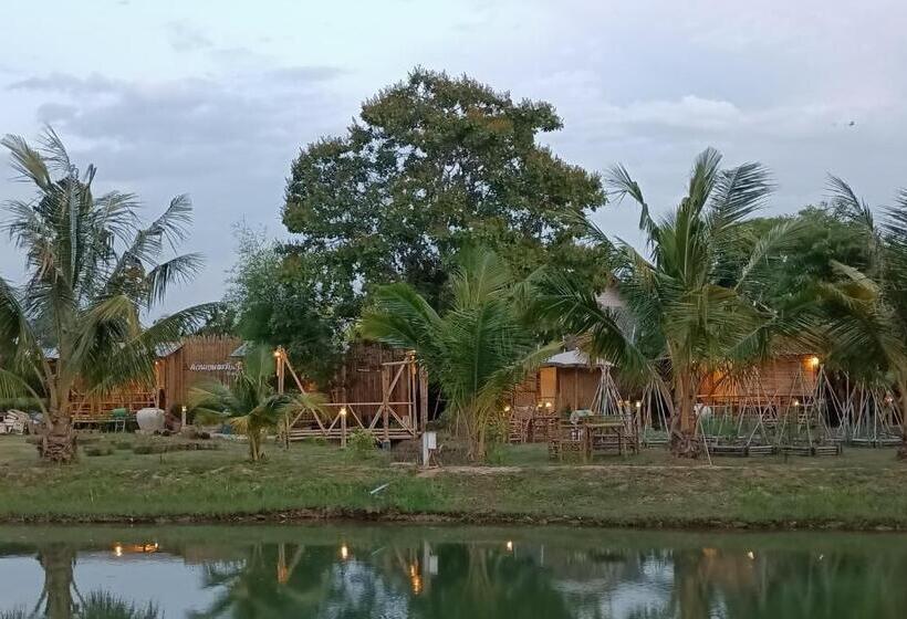 渡假胜地 สวนเกษตรรักษ์ไผ่ Bamboo Conservation Farm