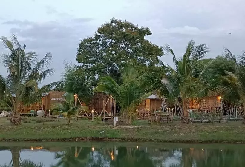 استراحتگاه สวนเกษตรรักษ์ไผ่ Bamboo Conservation Farm