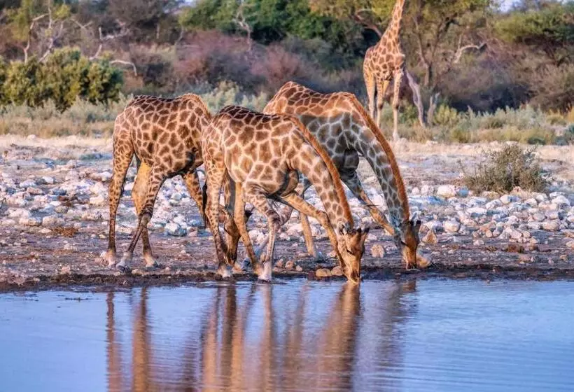 استراحتگاه The Mushara Outpost