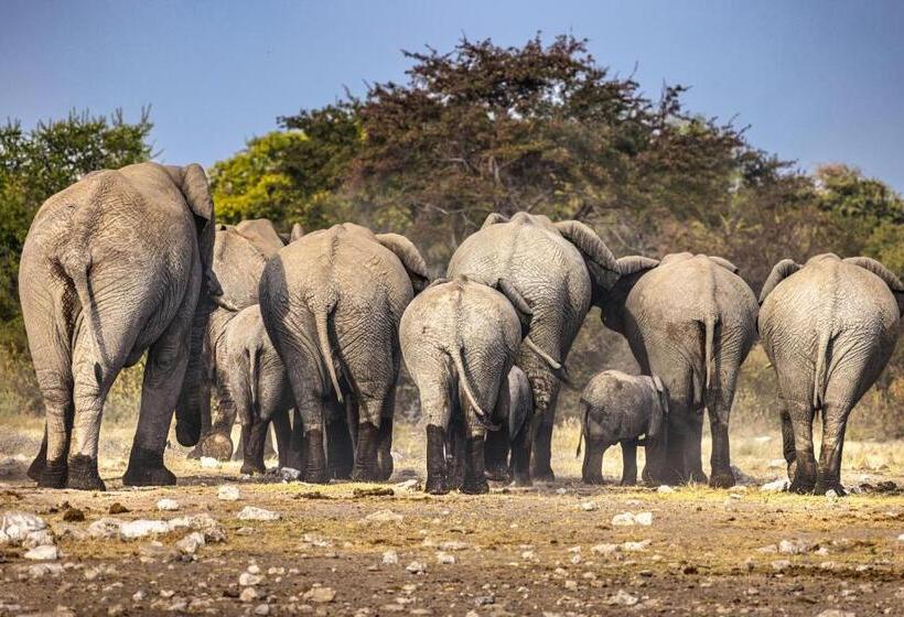 استراحتگاه The Mushara Outpost