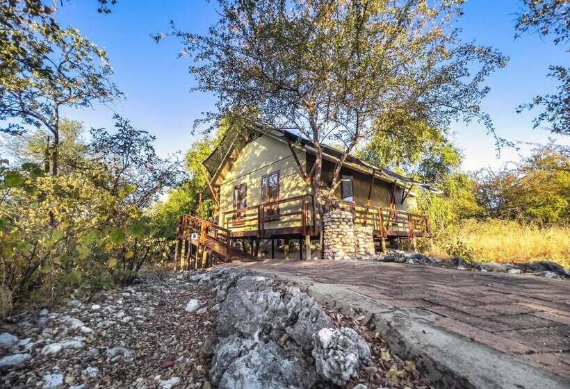 استراحتگاه The Mushara Outpost