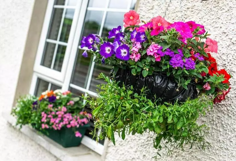 White Strand Beach House