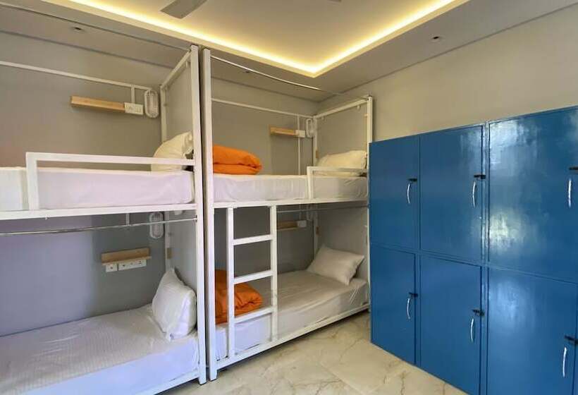 Auberge Hôtelière Madpackers Bir