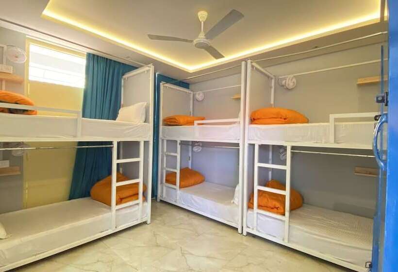 Auberge Hôtelière Madpackers Bir