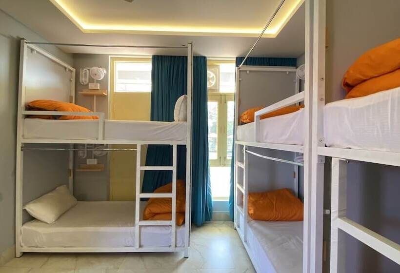 Auberge Hôtelière Madpackers Bir