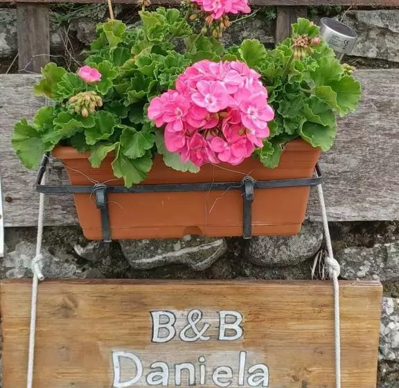 Daniela B&b Affittacamere