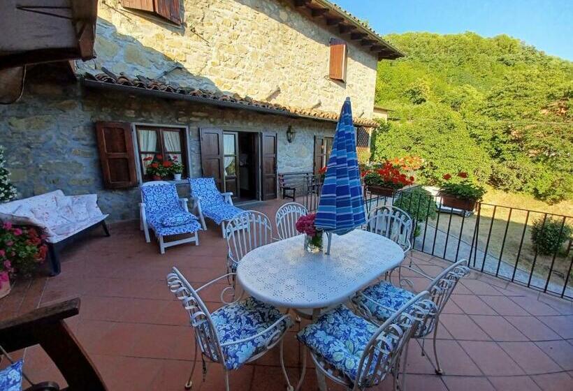 Daniela B&b Affittacamere