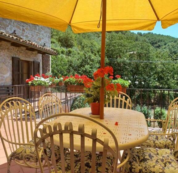 Daniela B&b Affittacamere