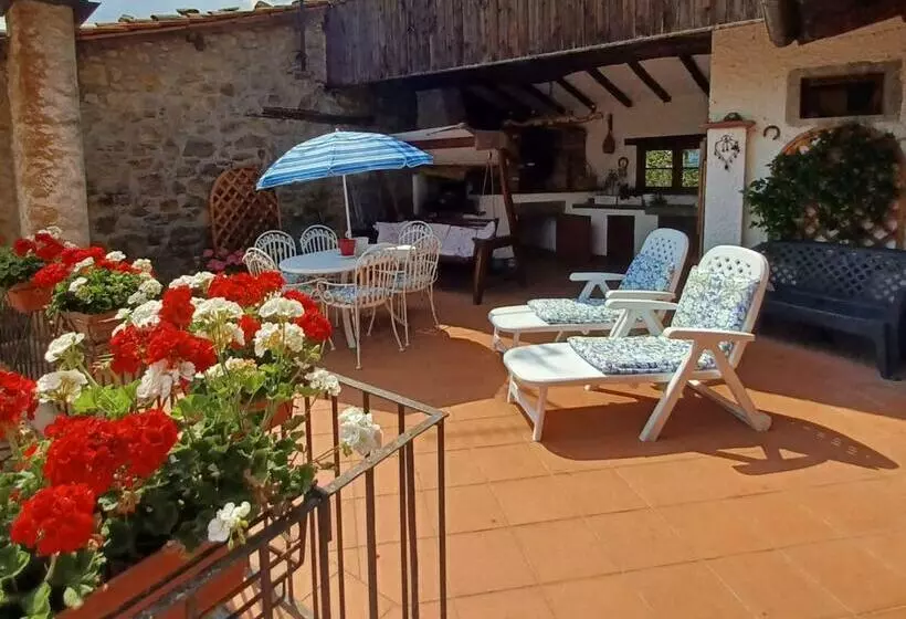 Daniela B&b Affittacamere