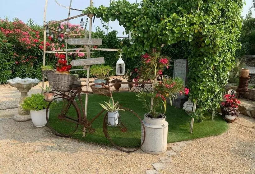 Gîte En Pays Cathare