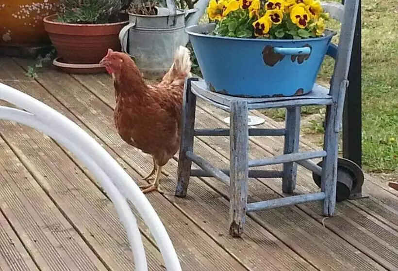 Gîte En Pays Cathare