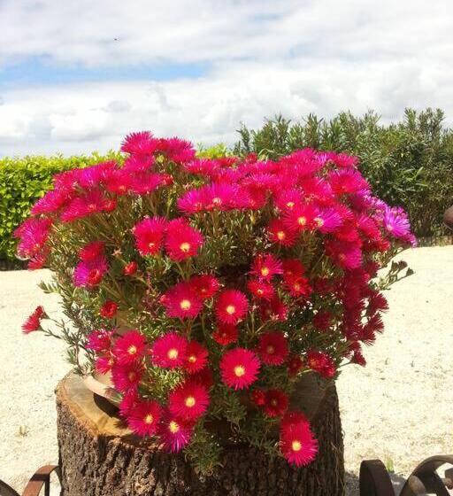 Gîte En Pays Cathare