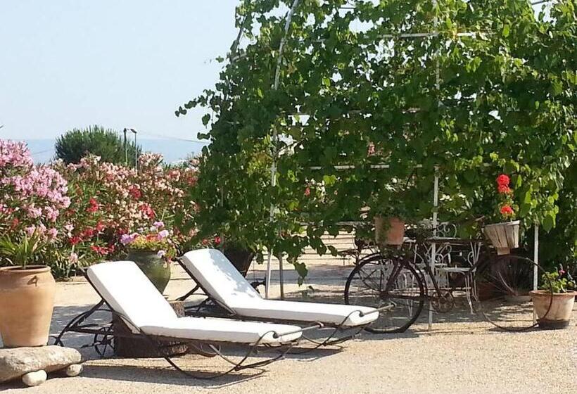 Gîte En Pays Cathare