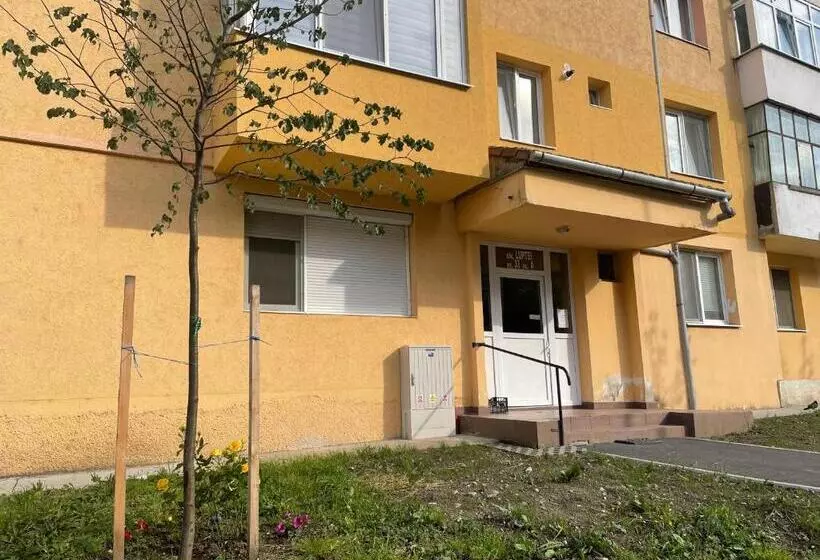 Luxury Apartment