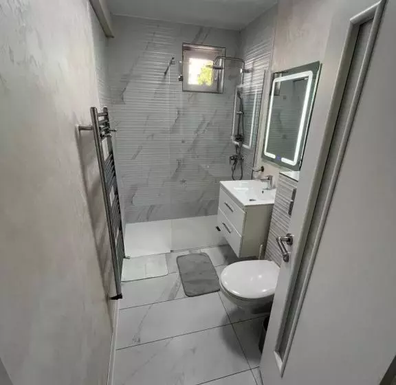 Luxury Apartment