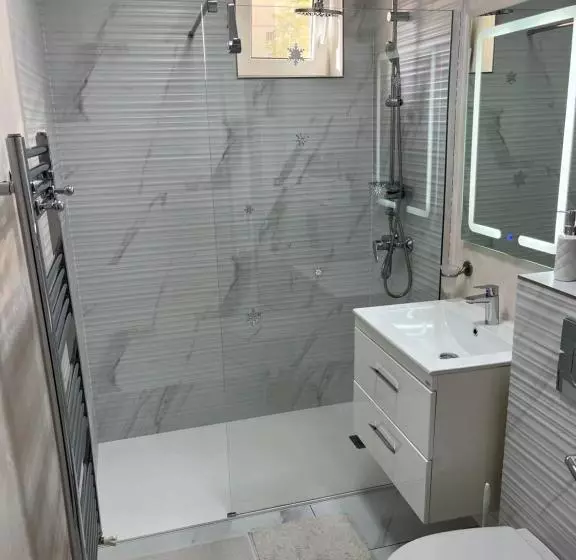 Luxury Apartment