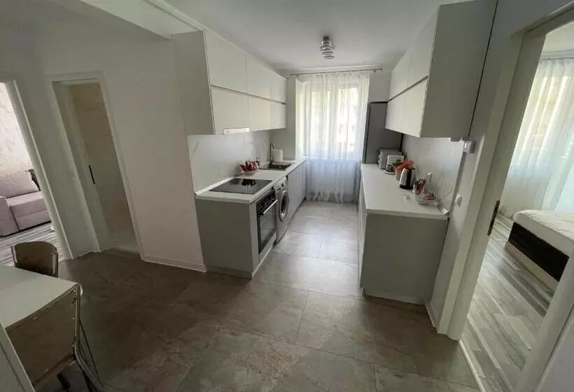 Luxury Apartment