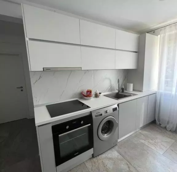 Luxury Apartment